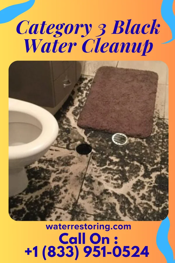 Category 3 Black Water Cleanup in Hardinsburg, KY
